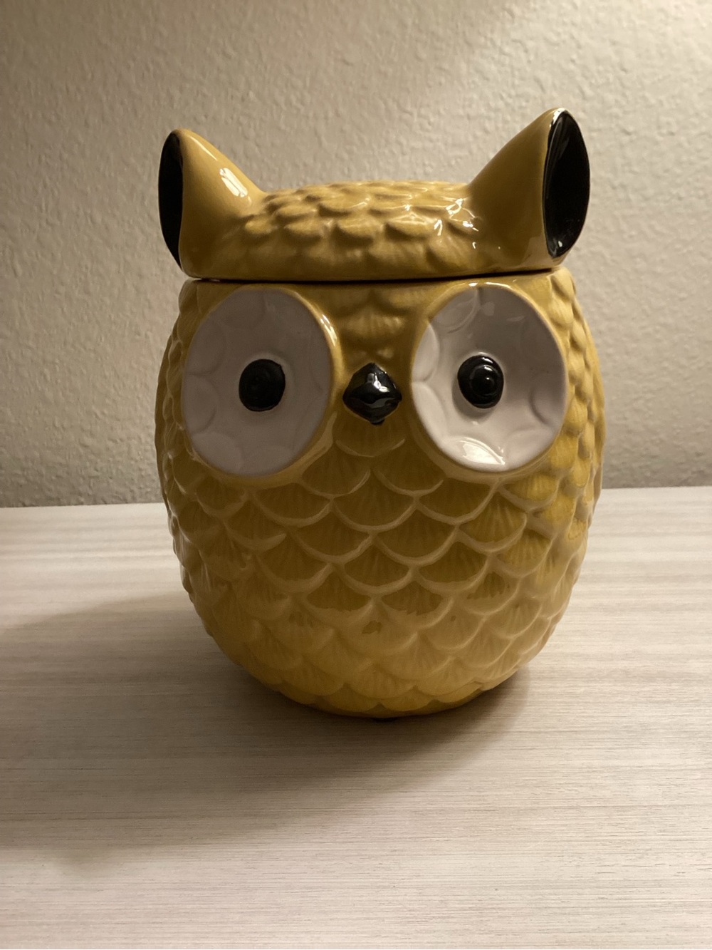 NEW Ceramic Gold Owl Storage Jar w/Lid “Not for food use” READ